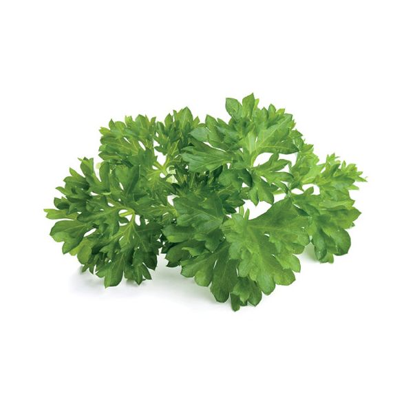 Click and Grow® sadenice Petržlenová vňať 3ks
