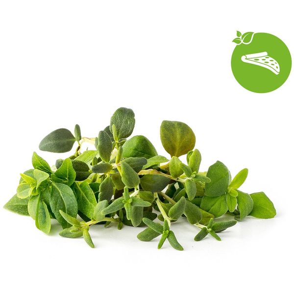 Click and Grow® sadenice Mix Talianskych byliniek 9ks