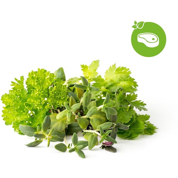 Click and Grow® sadenice Steak&Grill Mix 9ks