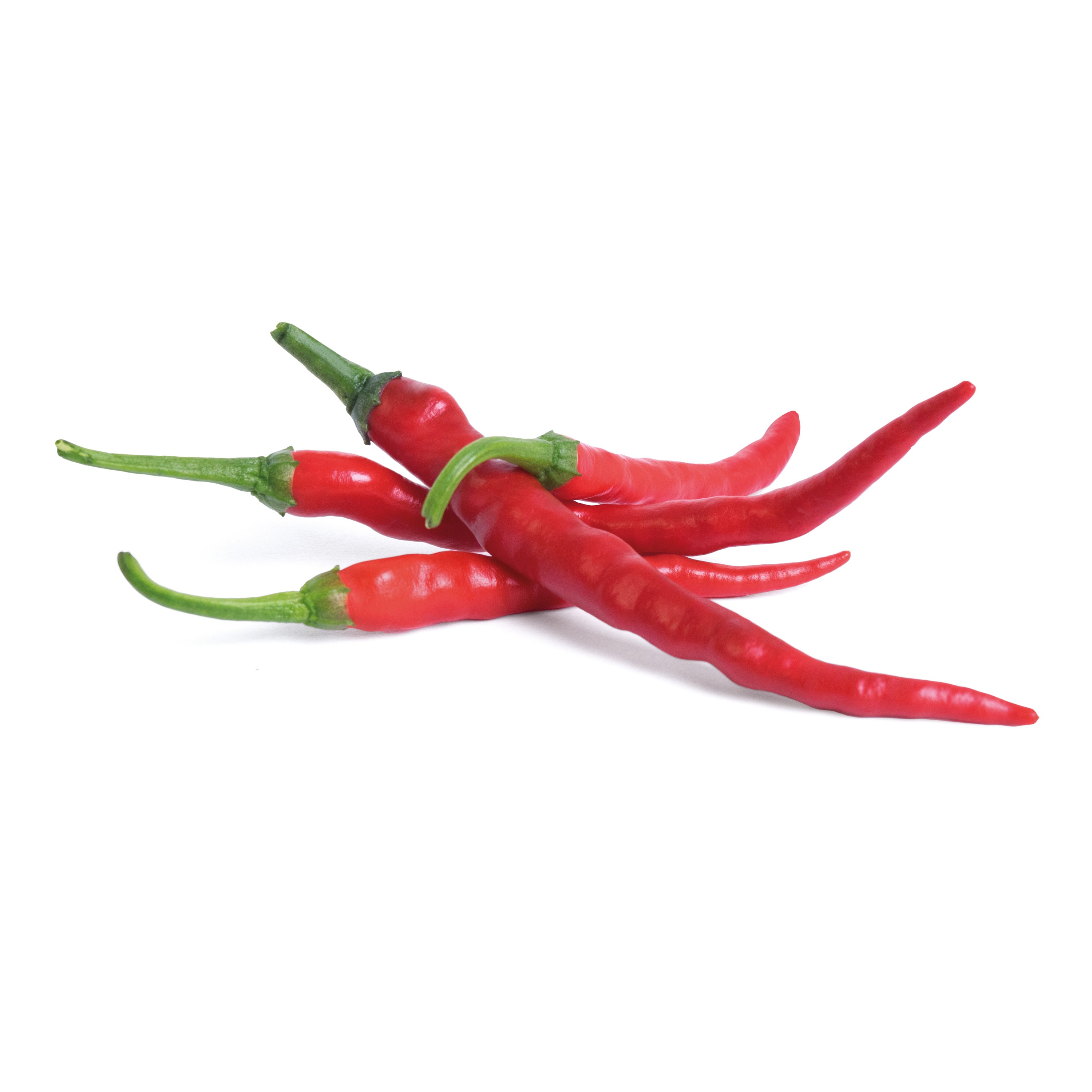 Véritable Lingot® Bio sadenice Pálivých čili papričiek