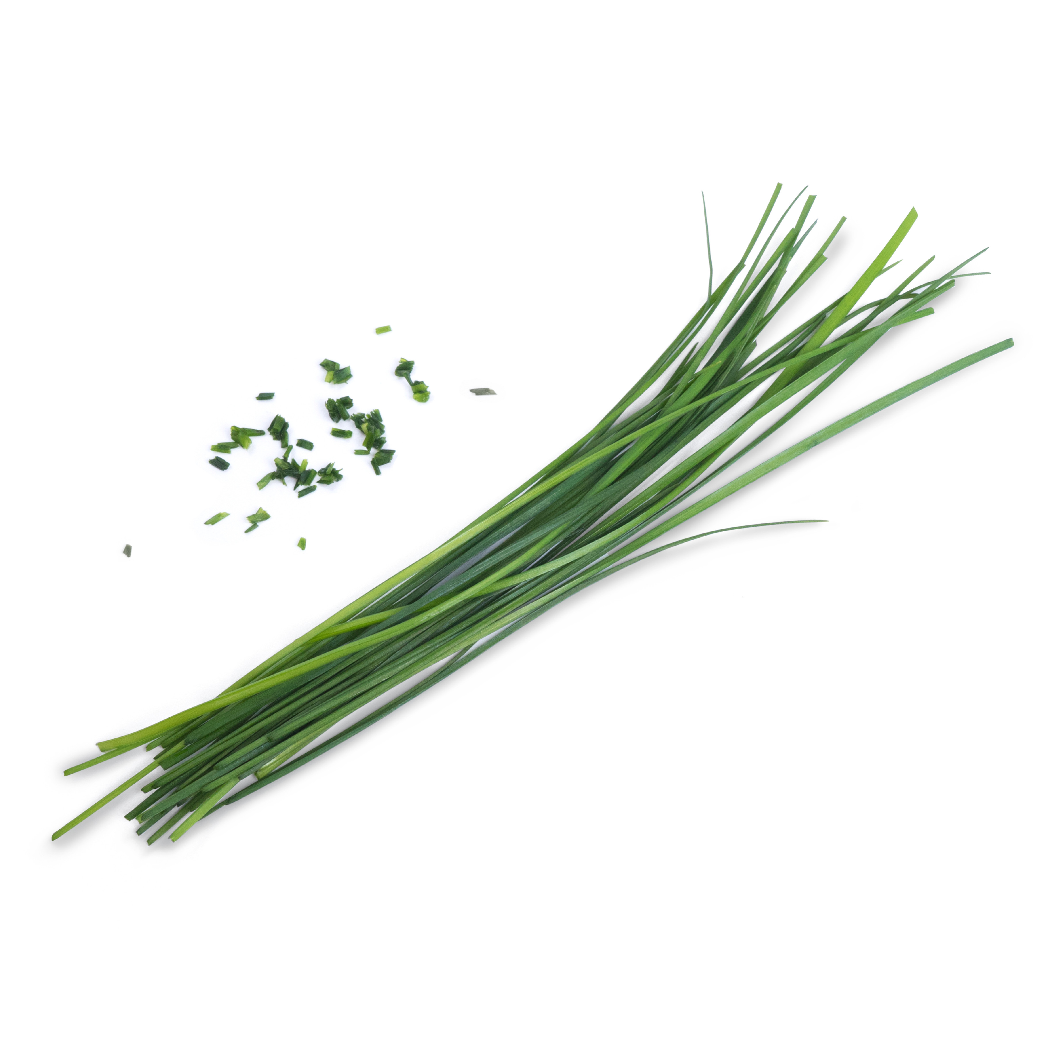 Véritable® BIO sadenice Čínska pažítka