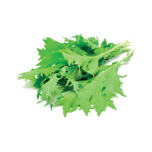 Click and Grow® sadenice Horčica 9ks
