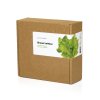 Green Lettuce 9 pack