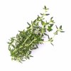 Thyme (Thyme)