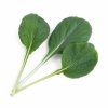 Tatsoi