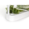 Click and Grow Smart Garden 9 zavlažovanie