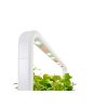 Click and Grow Smart Garden 9 Led svetlo