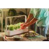 Click and Grow Smart Garden 9 Biela