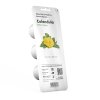 Calendula 3pack whitebg