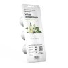 White Snapdragon 3pack whitebg