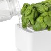 Click and Grow Smart Garden 3