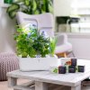 Véritable SMART AW(8)