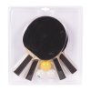 Pálky stolní tenis Buffalo Family  - set 4ks + 3 míčky