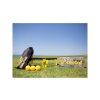 Spikeball Standard set