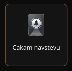 Cakam navstevu