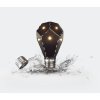 27858 1 nanoleaf ivy smarter kit 1 hub 2 bulbs