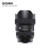 SIGMA 14-24mm F2.8 DG DN Art