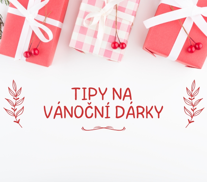 Vánoční tipy: Praktické a stylové dárky pro každého