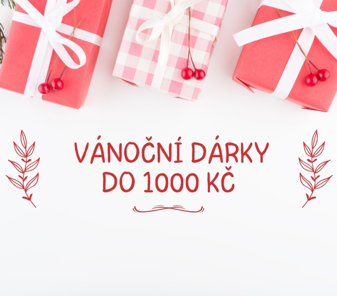 Vánoční tipy do 1000 Kč: Dárky, které potěší a usnadní každodenní život