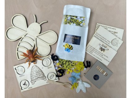 senzorický box hmyz