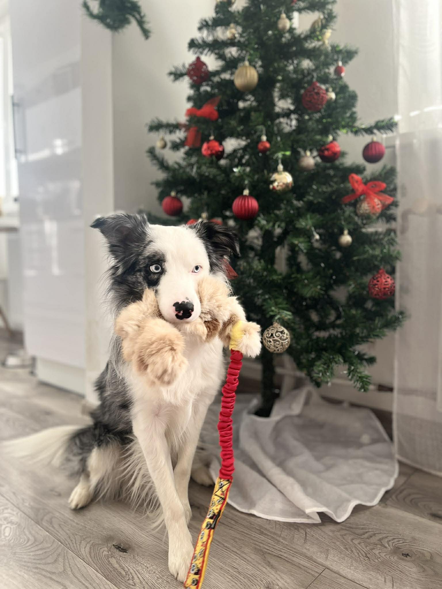 Vánoční sleva 25%