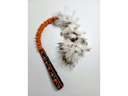 Zapletená ovce malá