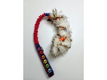 Zapletená ovce malá