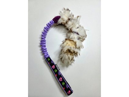 Zapletená ovce malá