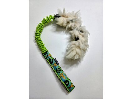 Zapletená ovce malá