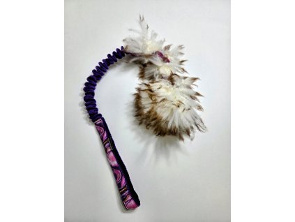 Zapletená ovce malá