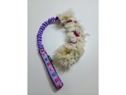 Zapletená ovce malá