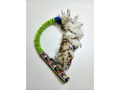 Zapletená ovce malá