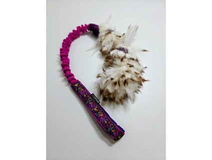 Zapletená ovce malá