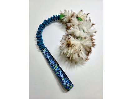 Zapletená ovce malá