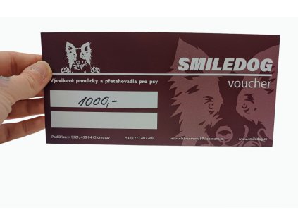 Poukaz v hodnotě 1000kč elektronický