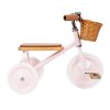 Banwood trojkolka pink BW TRIKE PINK 8445027007908