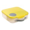 Kopie souboru 653 lemon sherbet lunch box 01