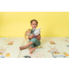 13085TAF 20 uncompressed