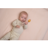 2012283LD 5 uncompressed