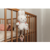 NIJN365LD 3 uncompressed