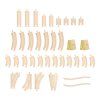 BJT023 11.set