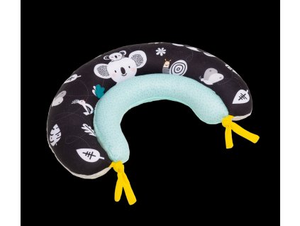 12475TAF uncompressed