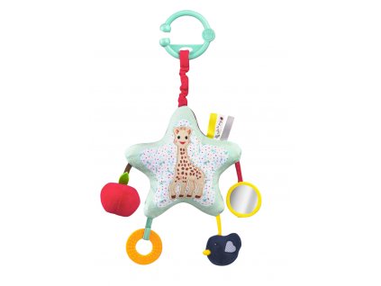 vulli hvezdicka s aktivitami