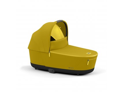 cyb 21 int excl us y315 priam luxcarrycot muye 17c846f8f1956070