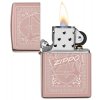 26973 Reimagine Zippo