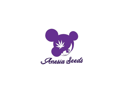 anesia seeds