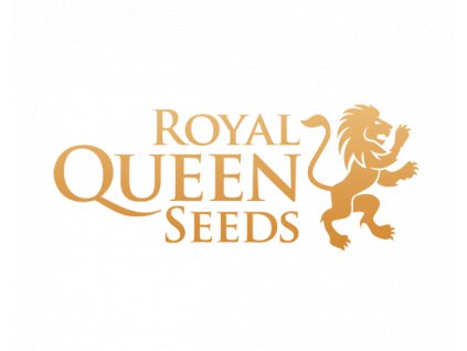 Royal Quen seeds