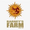 Barneys Farm Cannabis Seeds Canatura