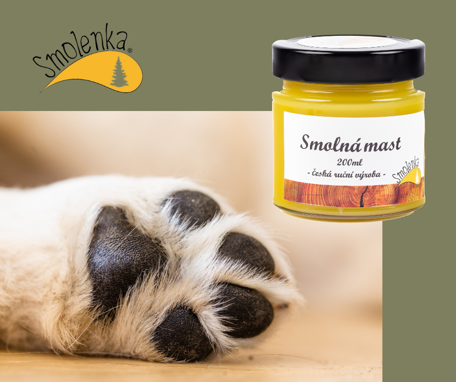 Smolná tlapka – a šťastný konec