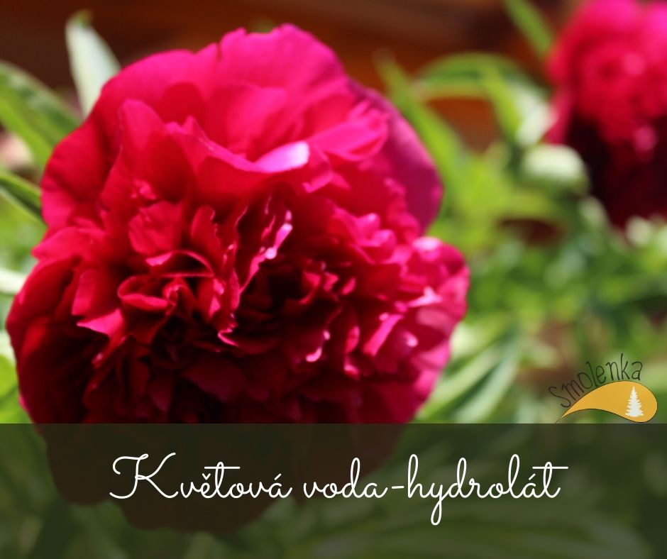 Květová voda - hydrolát
